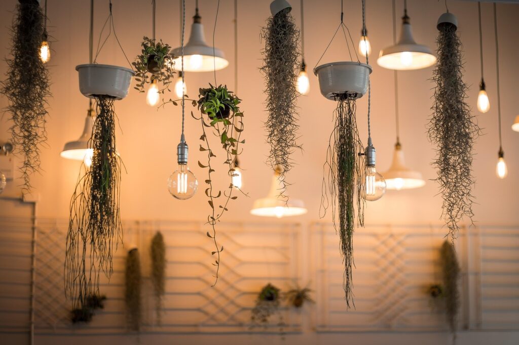 lights, decoration, nature, illuminated, interior design, plants, light bulbs, hanging plants, incandescent, lighting, interior decoration-1867437.jpg